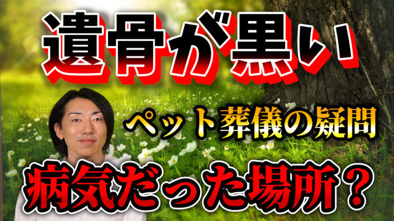 ペット火葬炉で荼毘に付した後の黒いお骨