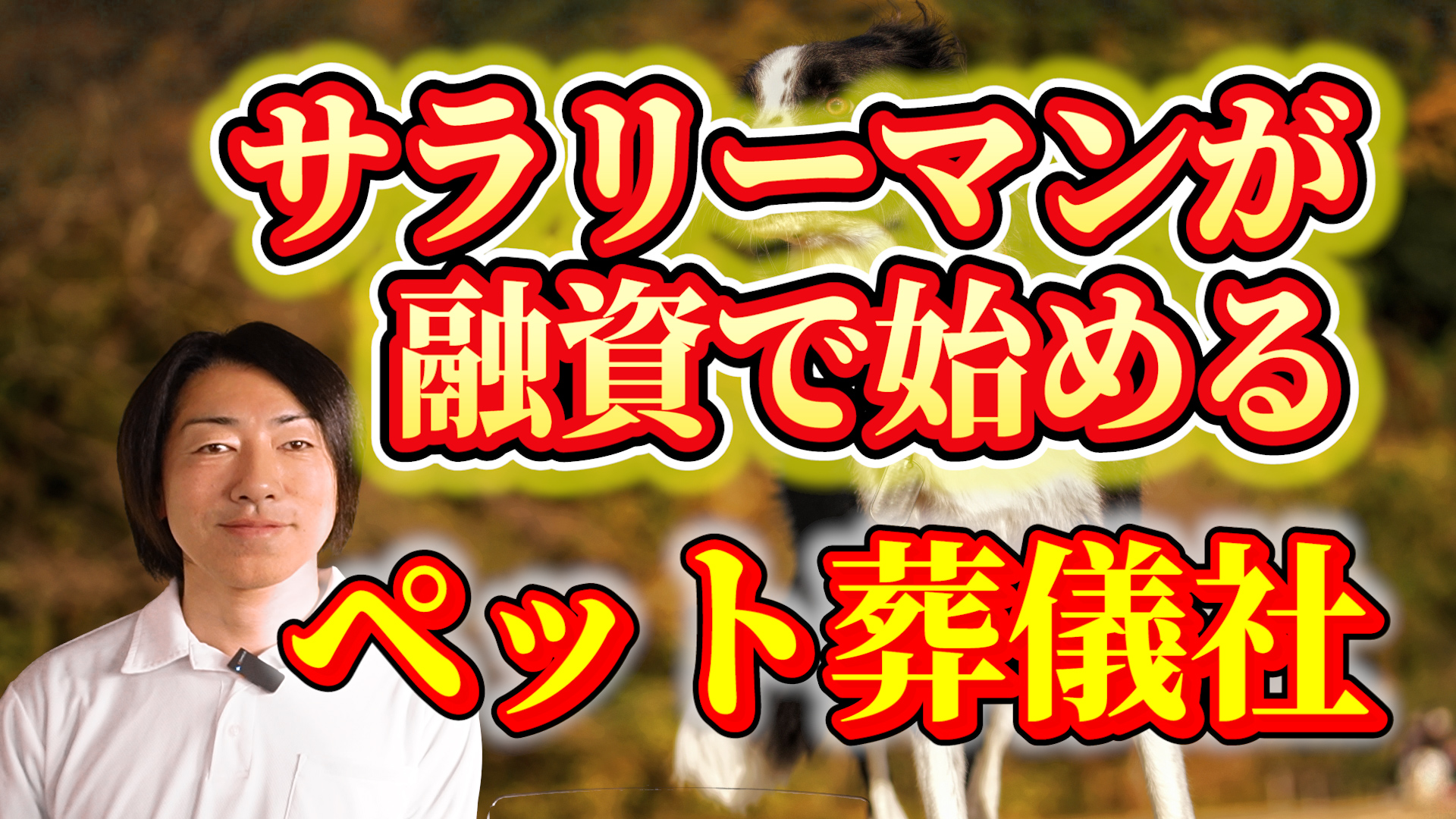 サラリーマンのペット葬儀ビジネス