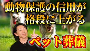 ペット火葬車導入と動物保護