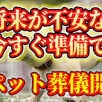 ペット火葬車による訪問葬儀で今すぐ準備