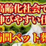 高齢化社会で伸びるビジネス