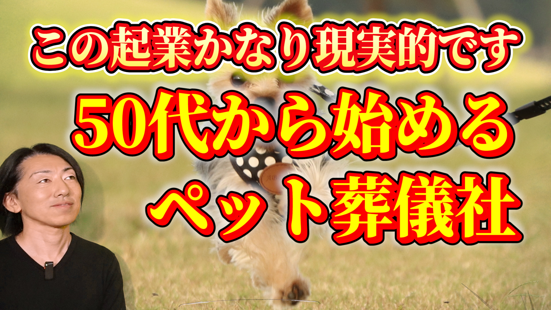 50代からペット葬儀社を起業