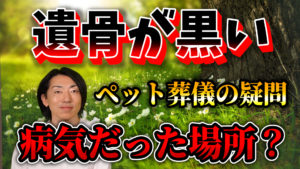 ペット火葬炉で荼毘に付した後の黒いお骨