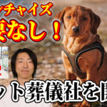 フランチャイズ加盟必要なし